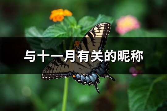 与十一月有关的昵称(优选91个)