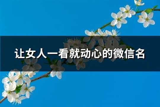 让女人一看就动心的微信名(优选527个)