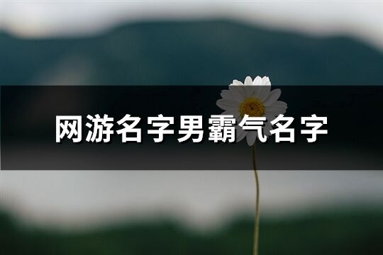 网游名字男霸气名字(精选667个)