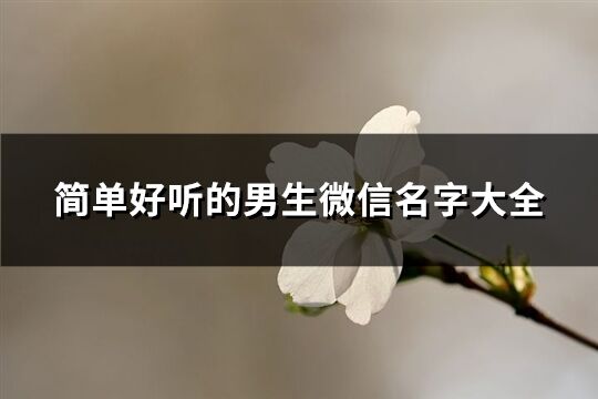 简单好听的男生微信名字大全(优选774个)