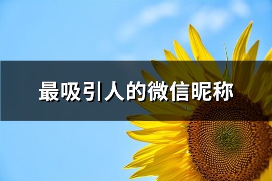 最吸引人的微信昵称(501个)