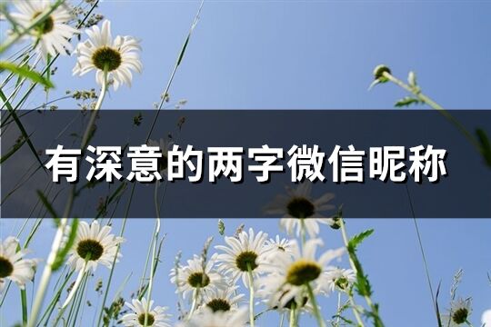 有深意的两字微信昵称(1305个)