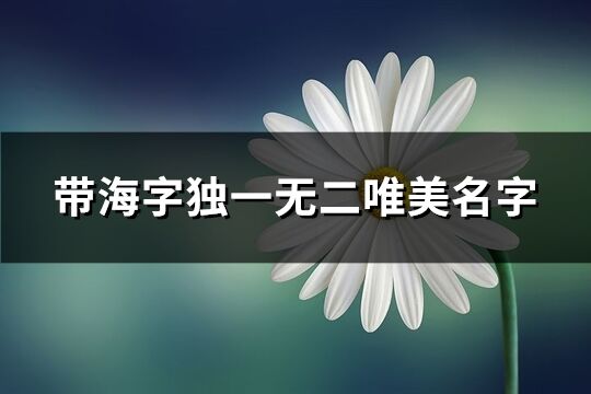 带海字独一无二唯美名字(共85个)