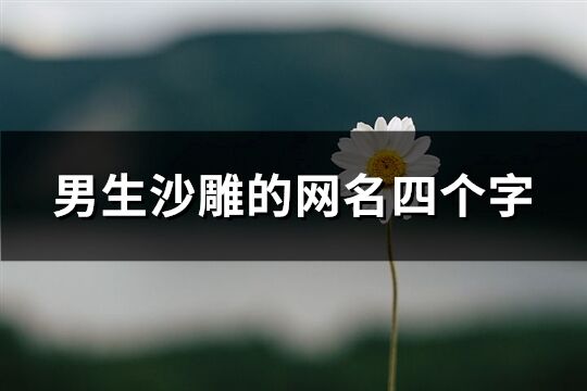 男生沙雕的网名四个字(精选608个)