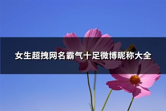 女生超拽網名霸氣十足微博暱稱大全(優選262個)