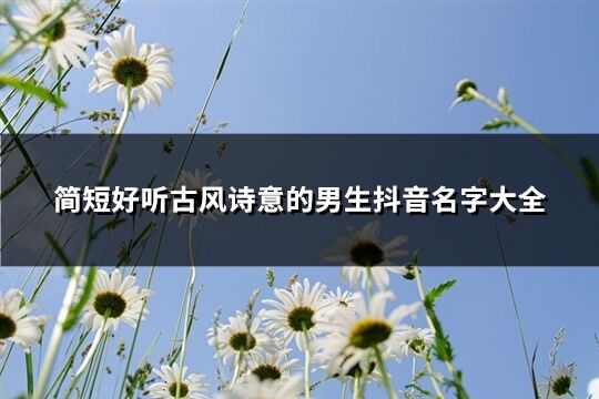 簡短好聽古風詩意的男生抖音名字大全 11,高冷逗霸2,塵埃之裡3,琉璃