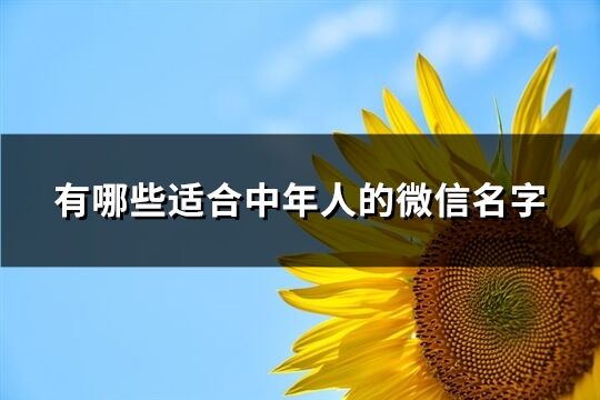 有哪些适合中年人的微信名字(共530个)