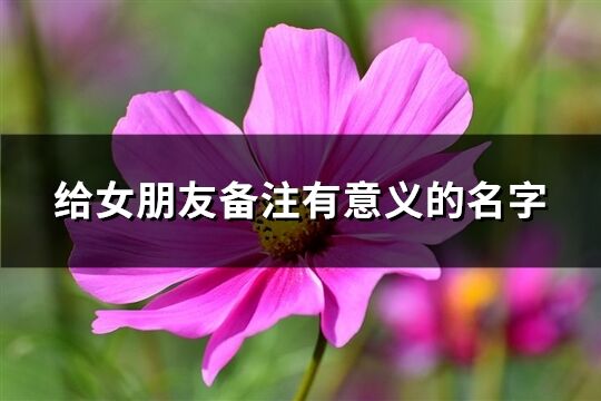 给女朋友备注有意义的名字(精选98个)