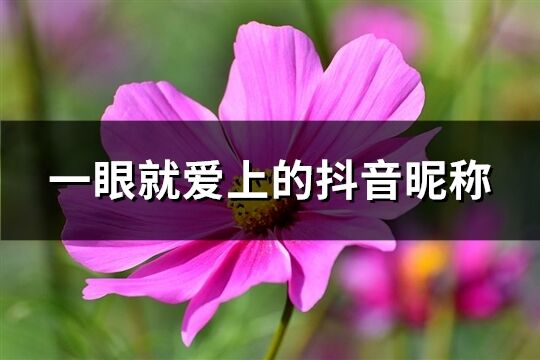 一眼就爱上的抖音昵称(共93个)