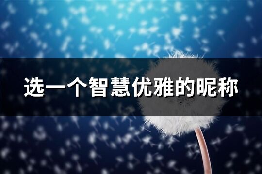 选一个智慧优雅的昵称(优选183个)