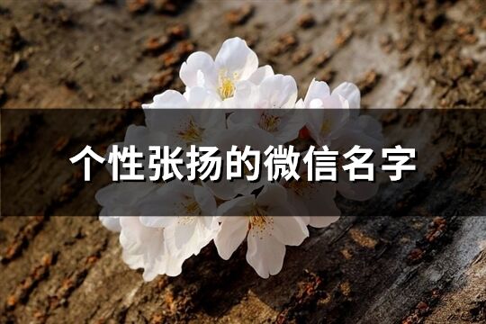 个性张扬的微信名字(99个)