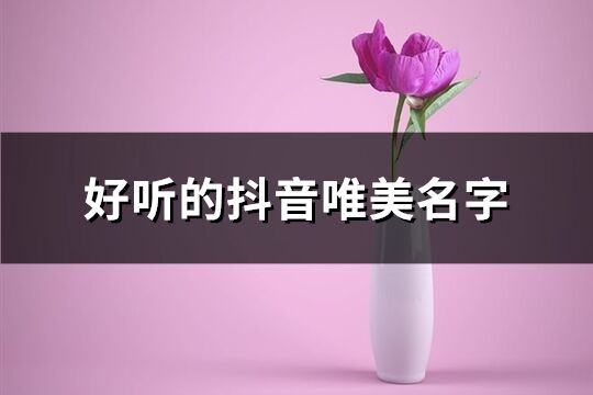 好听的抖音唯美名字(共224个)