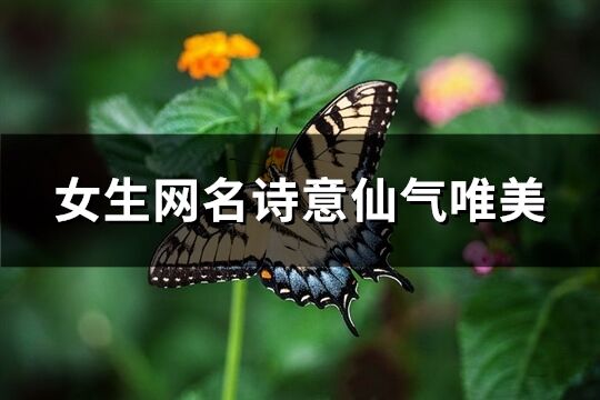 女生网名诗意仙气唯美(优选100个)