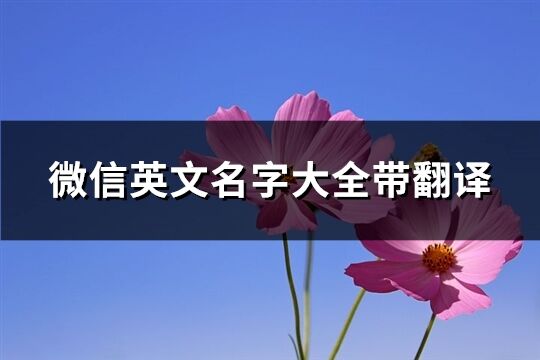 微信英文名字大全带翻译(共178个)