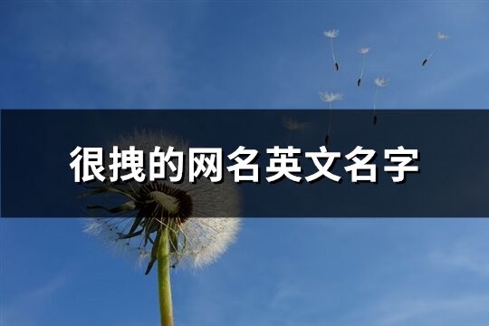 很拽的网名英文名字(精选86个)