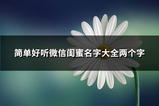 简单好听微信闺蜜名字大全两个字(优选109个)