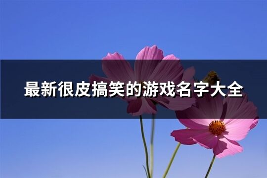 最新很皮搞笑的游戏名字大全(优选321个)