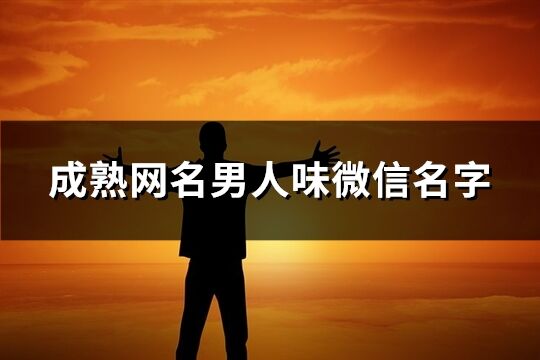 成熟网名男人味微信名字(共859个)