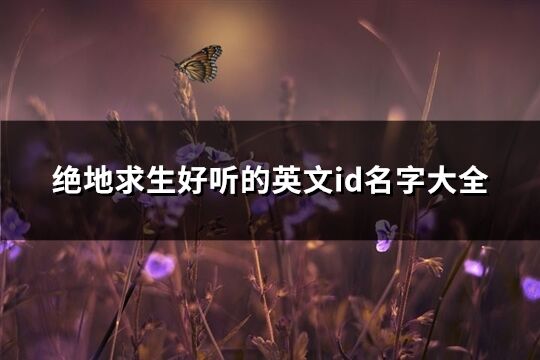 绝地求生好听的英文id名字大全(优选116个)