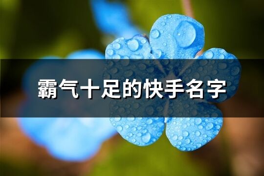 霸气十足的快手名字