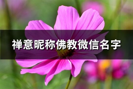 禅意昵称佛教微信名字(精选115个)