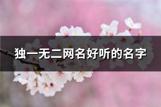 独一无二网名好听的名字(优选371个)