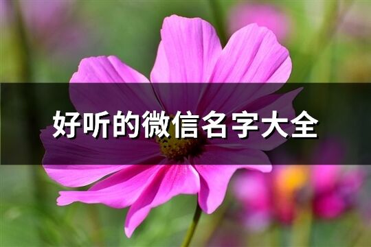 好听的微信名字大全(1388个)