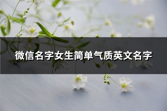 微信名字女生：气质淡雅如水，诗意盎然 (微信名字女生霸气高冷)