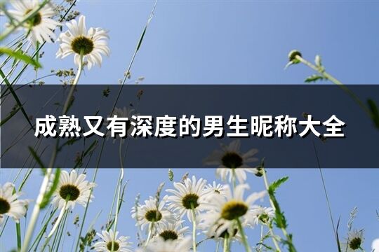 成熟又有深度的男生昵称大全(精选554个)