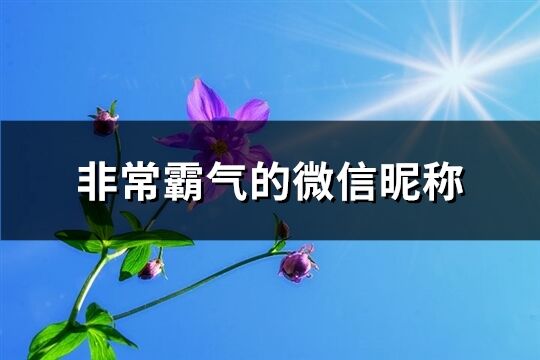 非常霸气的微信昵称(624个)