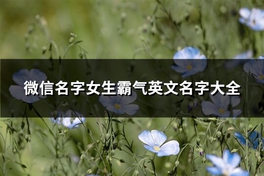 微信名字女生霸气英文名字大全(优选92个)