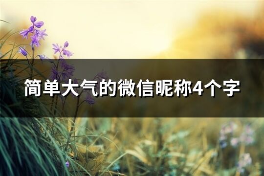 简单大气的微信昵称4个字(共1136个)