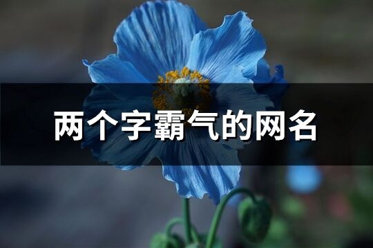 两个字霸气的网名(优选911个)