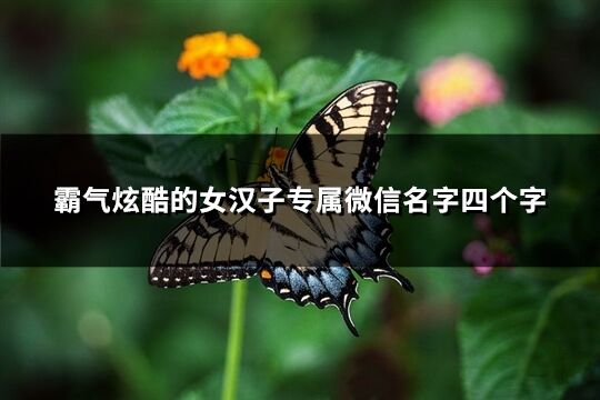 霸气炫酷的女汉子专属微信名字四个字(精选339个)