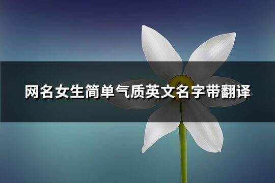 网名女生简单气质英文名字带翻译(优选120个)