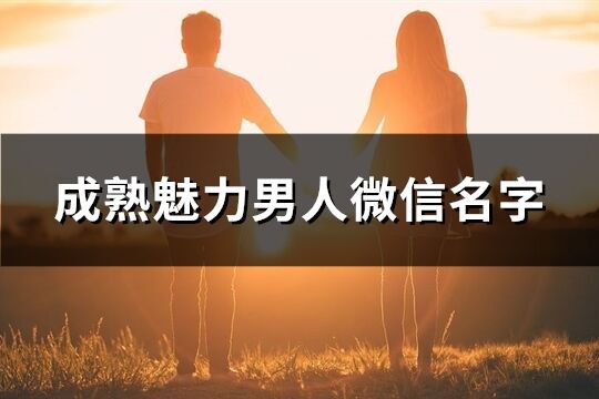 成熟魅力男人微信名字(精选358个)