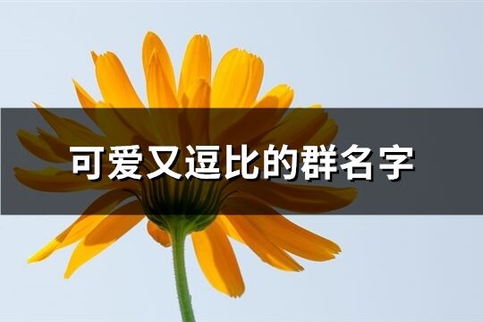 可爱又逗比的群名字(93个)