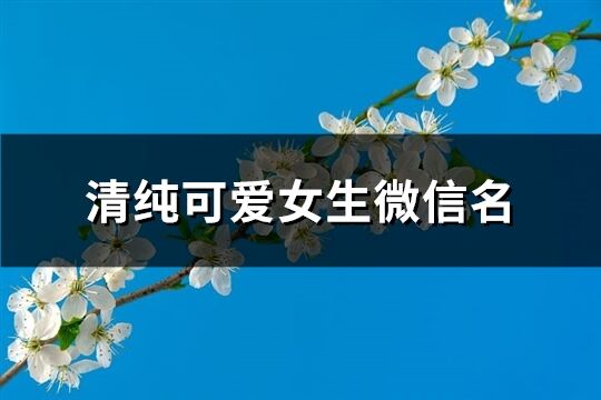 清纯可爱女生微信名(优选453个)