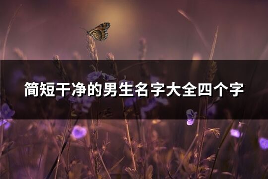 简短干净的男生名字大全四个字(优选631个)