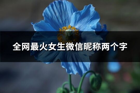 全网最火女生微信昵称两个字(257个)