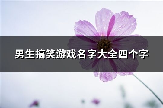 男生搞笑游戏名字大全四个字(573个)