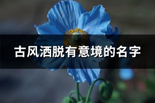 古风洒脱有意境的名字(118个)