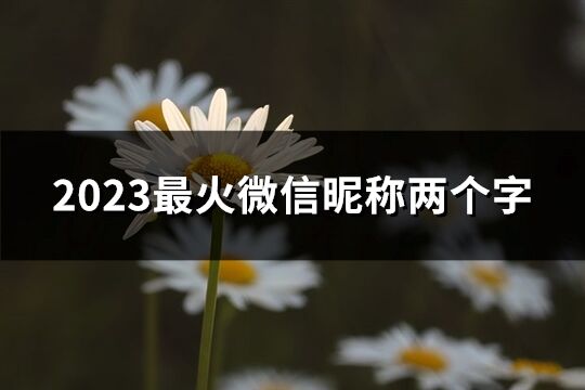 2023最火微信昵称两个字(765个)