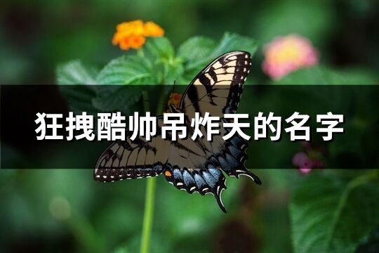 狂拽酷帅吊炸天的名字(优选187个)