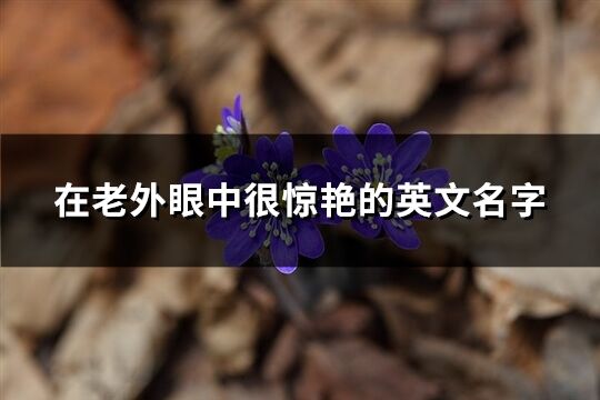 在老外眼中很惊艳的英文名字(精选93个)