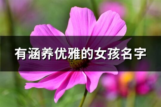 有涵养优雅的女孩名字(200个)