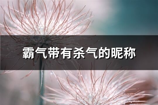 霸气带有杀气的昵称(精选228个)