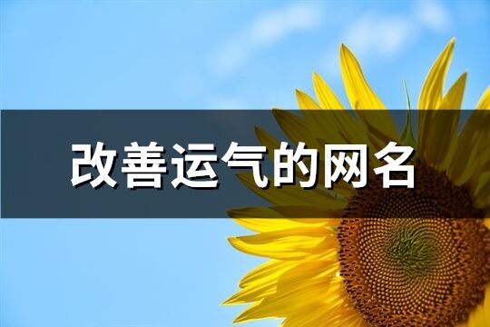 改善运气的网名(优选445个)