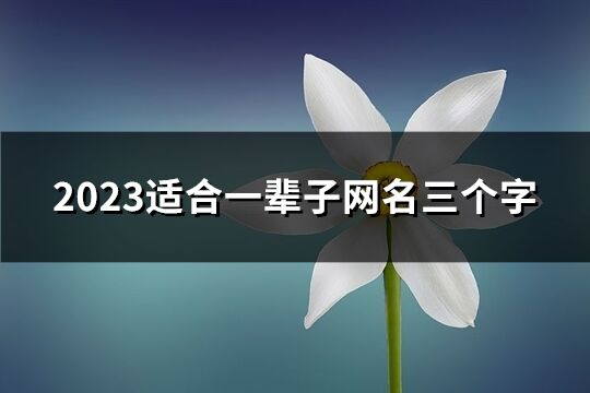 2023适合一辈子网名三个字(精选910个)