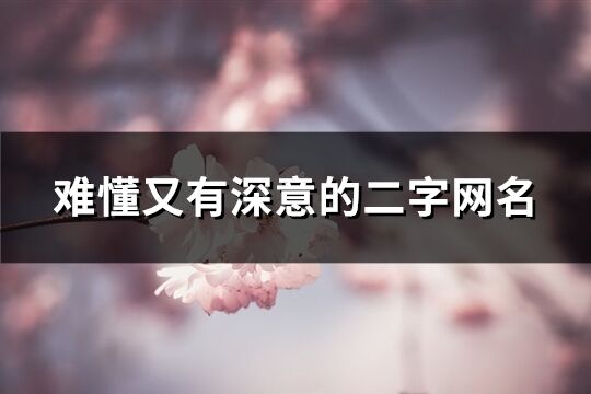 难懂又有深意的二字网名(优选336个)